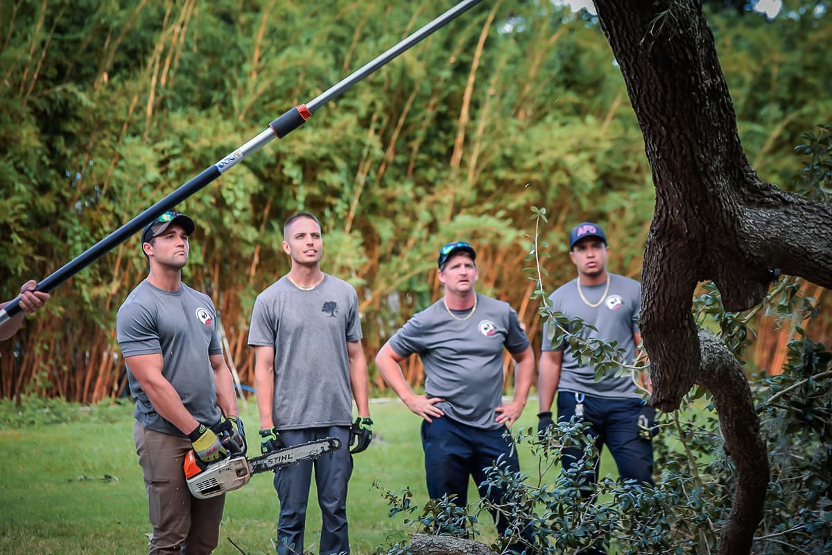 Cox Arboriculture Services Team