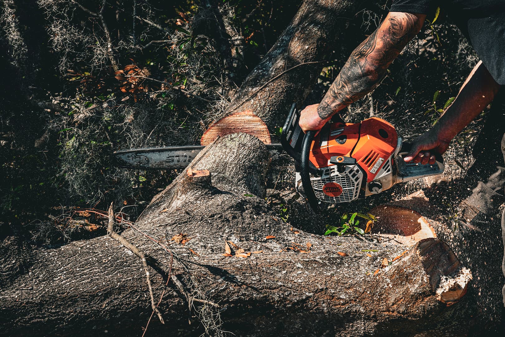 Team Member 40