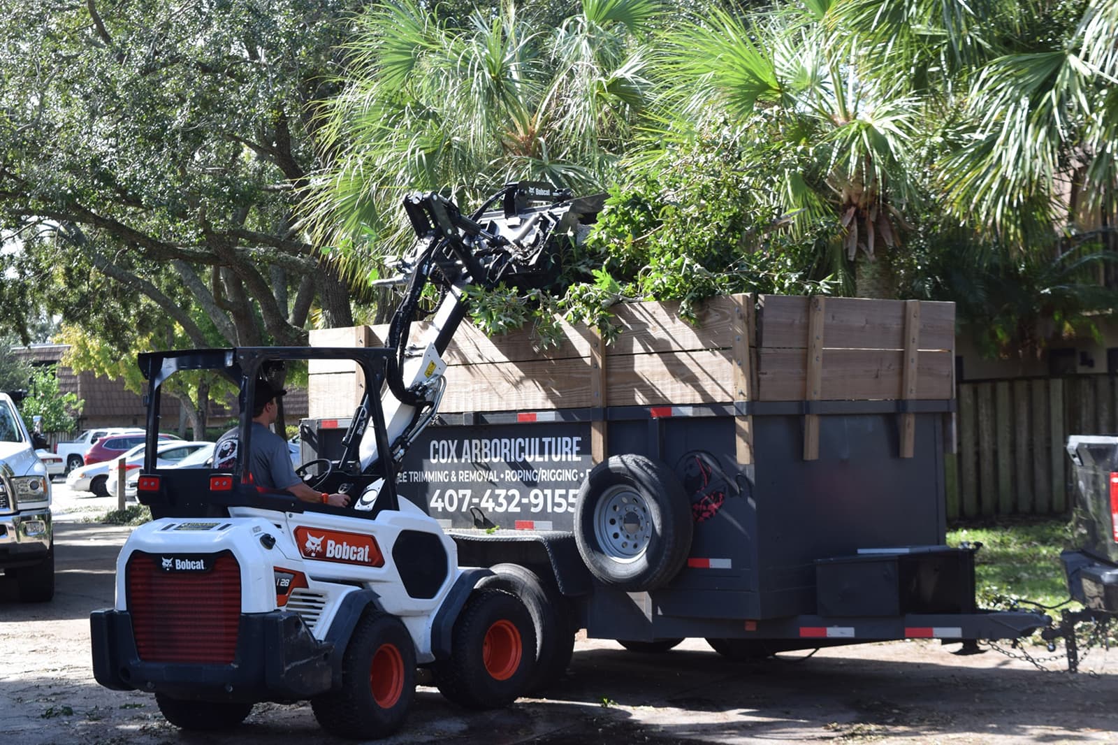 Professional Bobcat Services in Orlando