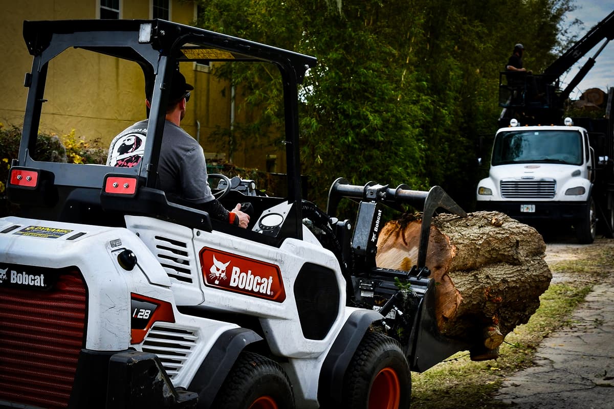 Cox Arboriculture Services Bobcat Team