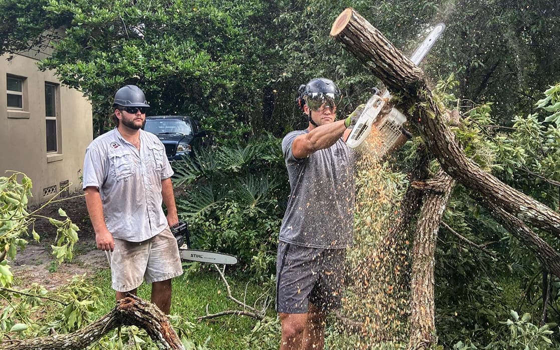 Decorative Stump Transformation Service