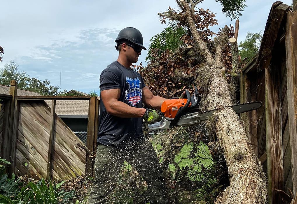 Commercial Tree Care and Health Services Orlando