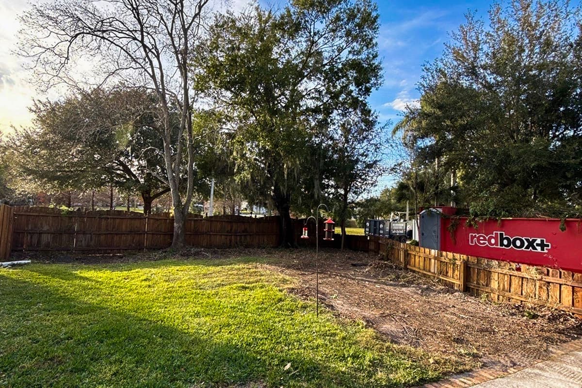 Professional Land Clearing Services in Orlando