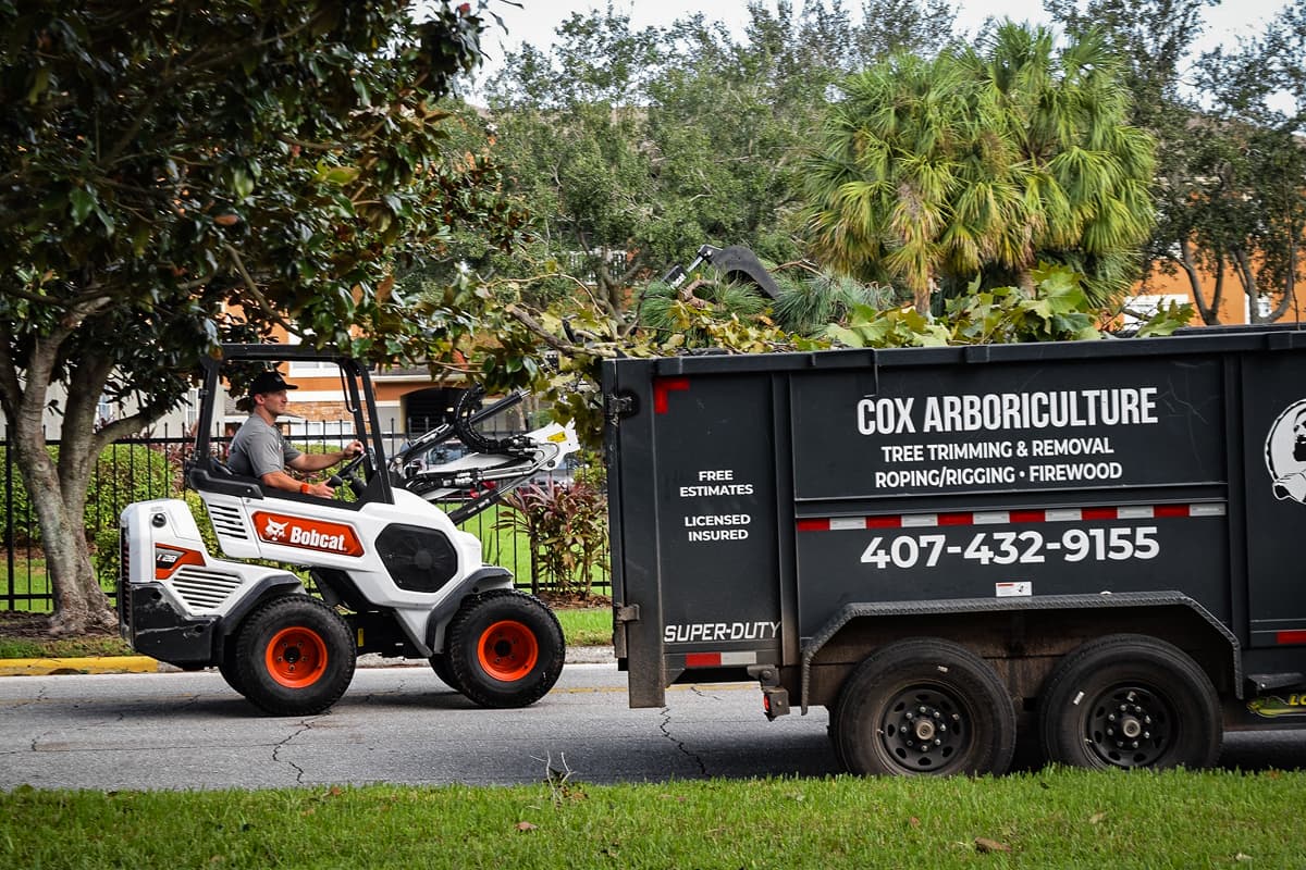 Cox Arboriculture Stump Grinding Team
