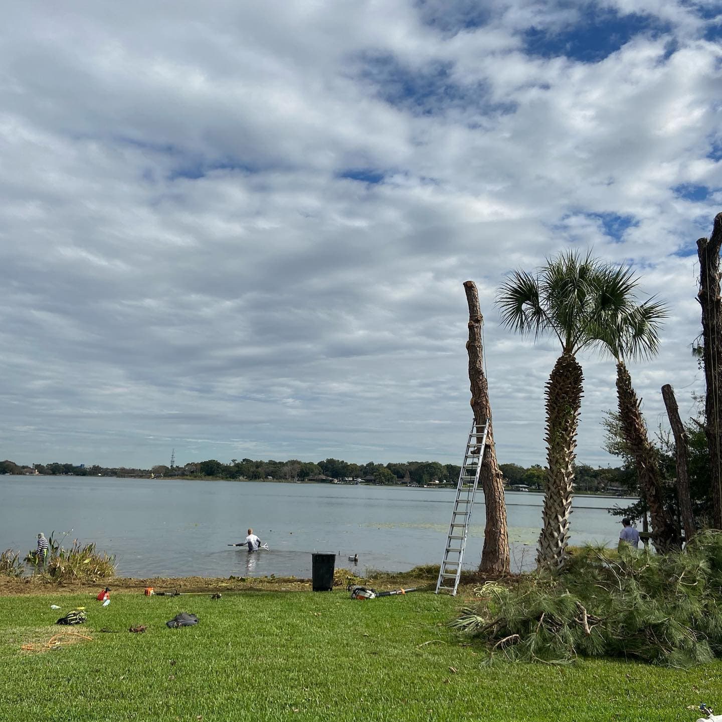 After Palm Tree Pruning