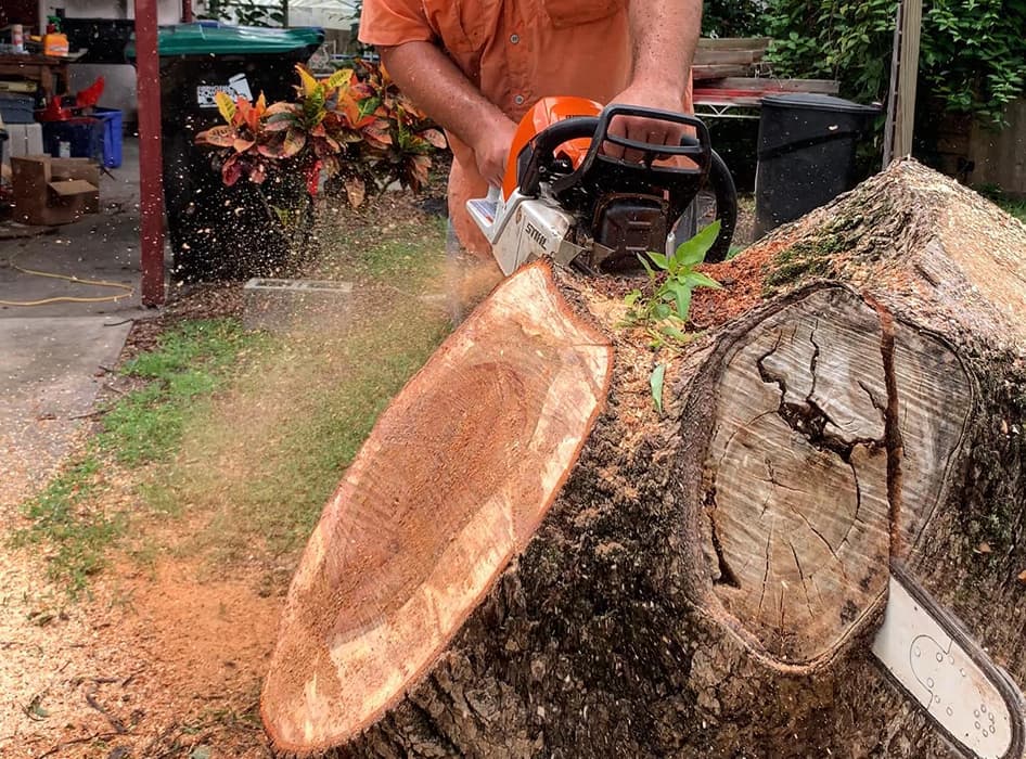 Stump Grinding
