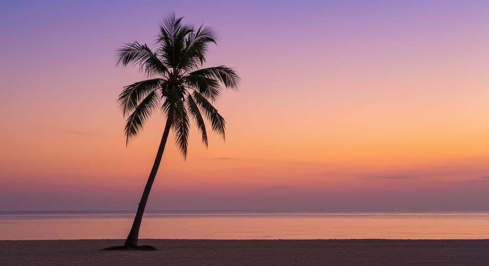 Caring for Tropical & Decorative Trees
